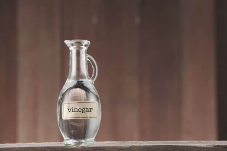 bottle of vinegar