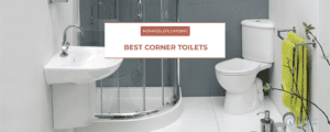 corner-toilets-feature
