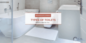 types-of-toilets
