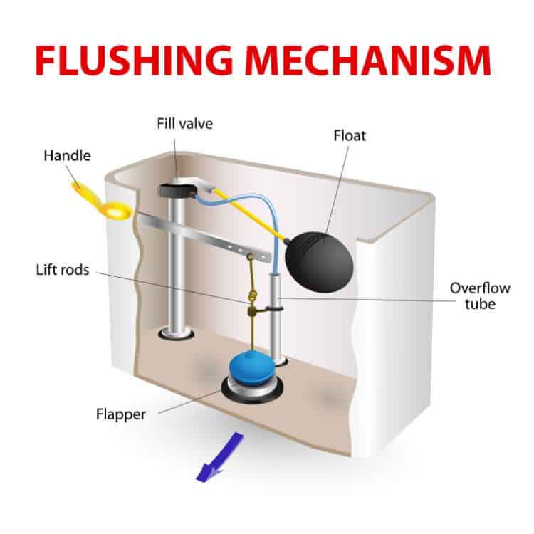 Diagrm showing the flushing mechanism of a toilet